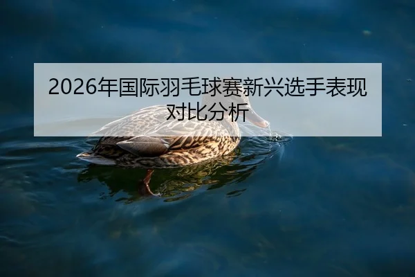 nian-guo-ji-yu-mao-qiu-sai-xin-xing-xuan-shou-biao-xian-dui-bi-fen-xi-2-832.jpg
