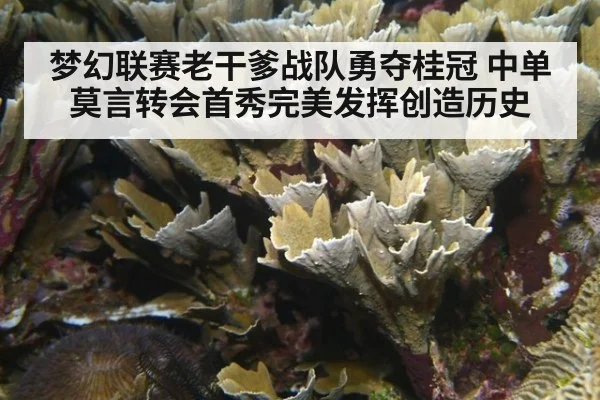 梦幻联赛老干爹战队勇夺桂冠 中单莫言转会首秀完美发挥创造历史